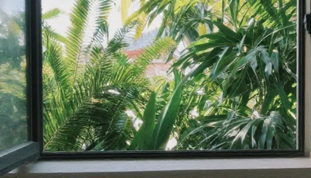 短视频拍摄选型关注点及具体建议